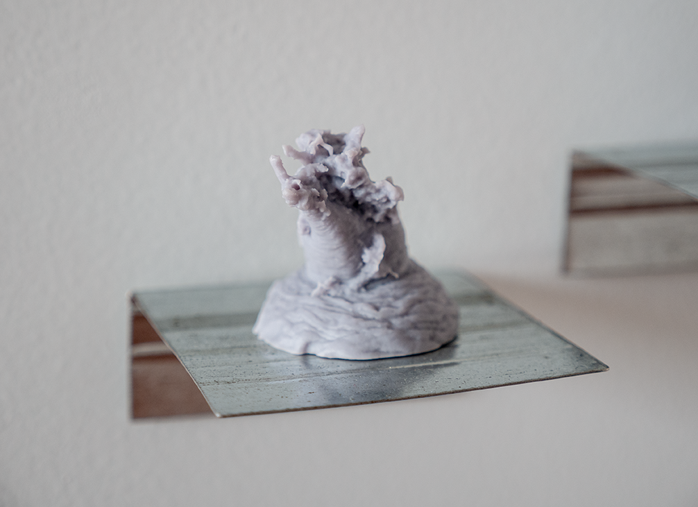 gallery documentation images