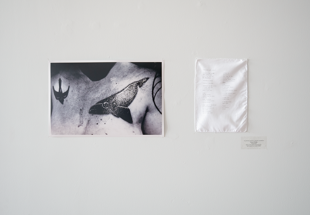 gallery documentation images