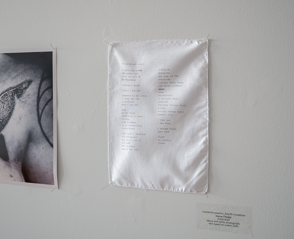 gallery documentation images