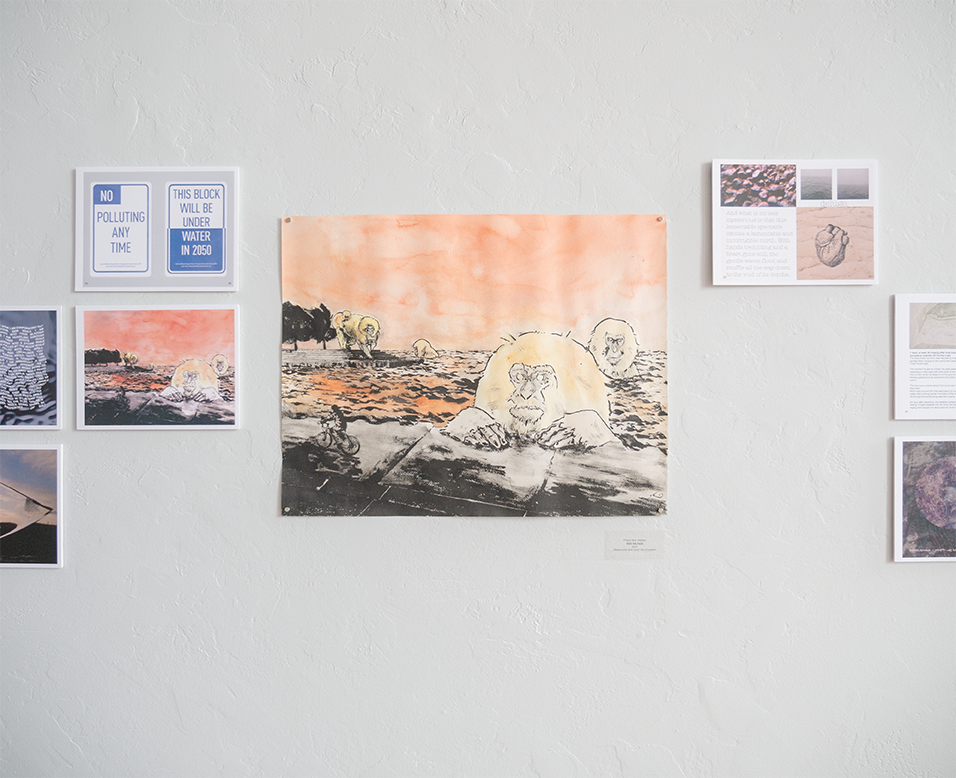gallery documentation images