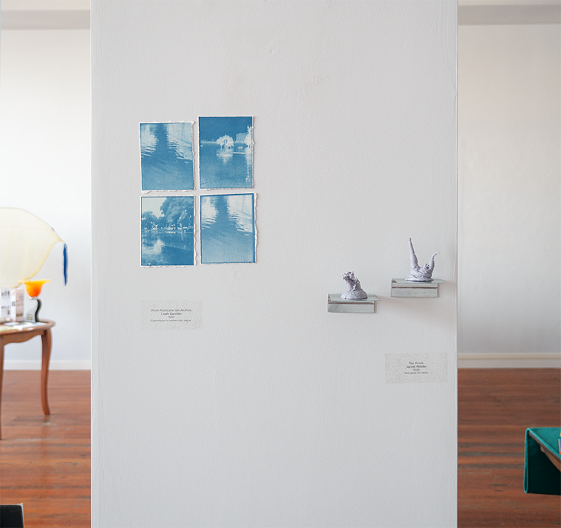 gallery documentation images