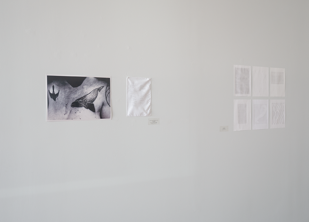 gallery documentation images